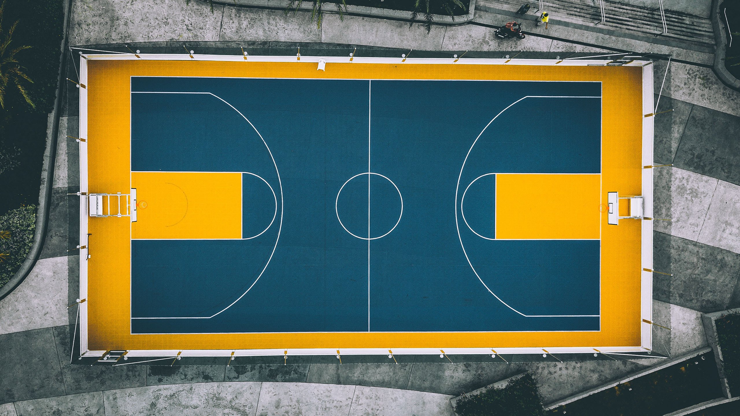武磊19球创纪录，中国前锋的巅峰赛季，照亮中国足球的希望之光|OG娱乐平台
